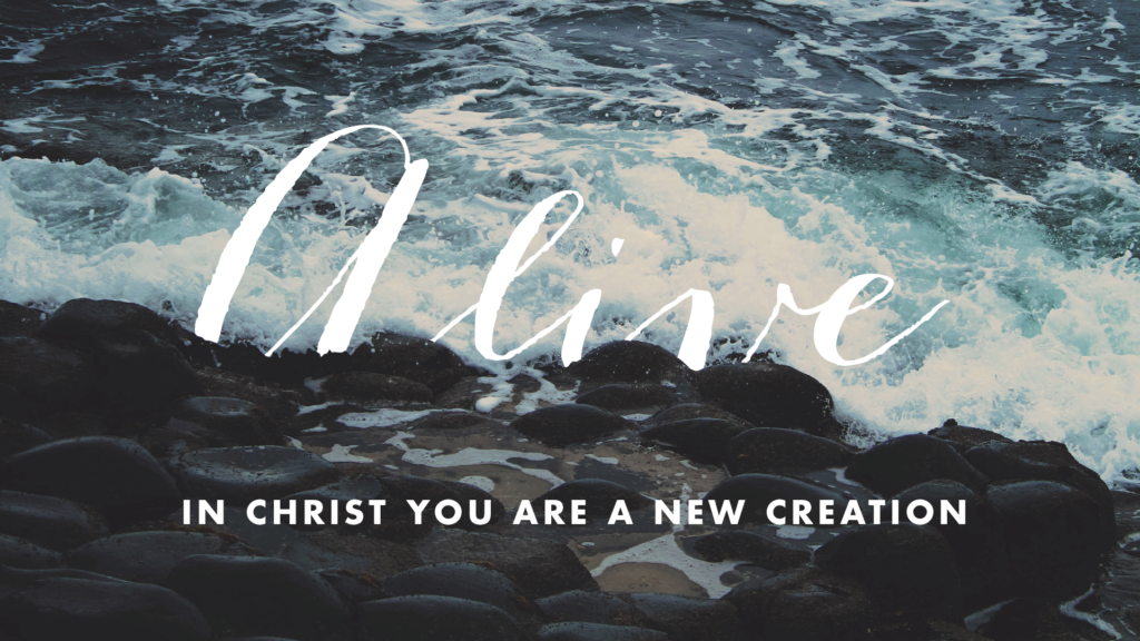 Connect through Baptism & Membership 1: A New Creation :: Sunday School ...